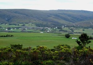 Baardskeerdersbos Huiseienaarsvereniging